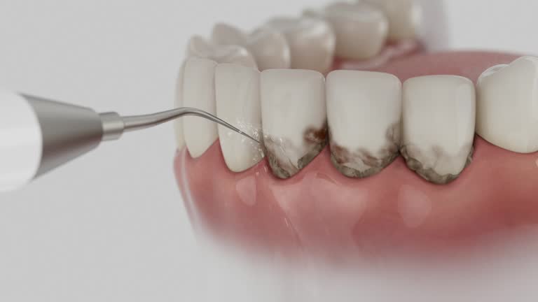 Reliable Dental contractor in Gloster, MS by Dentist Open Now